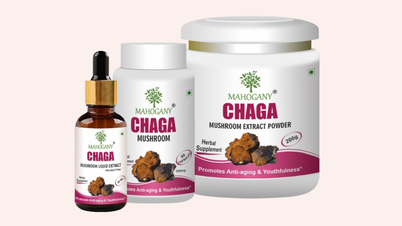 Chaga Mushroom Exporter From India
