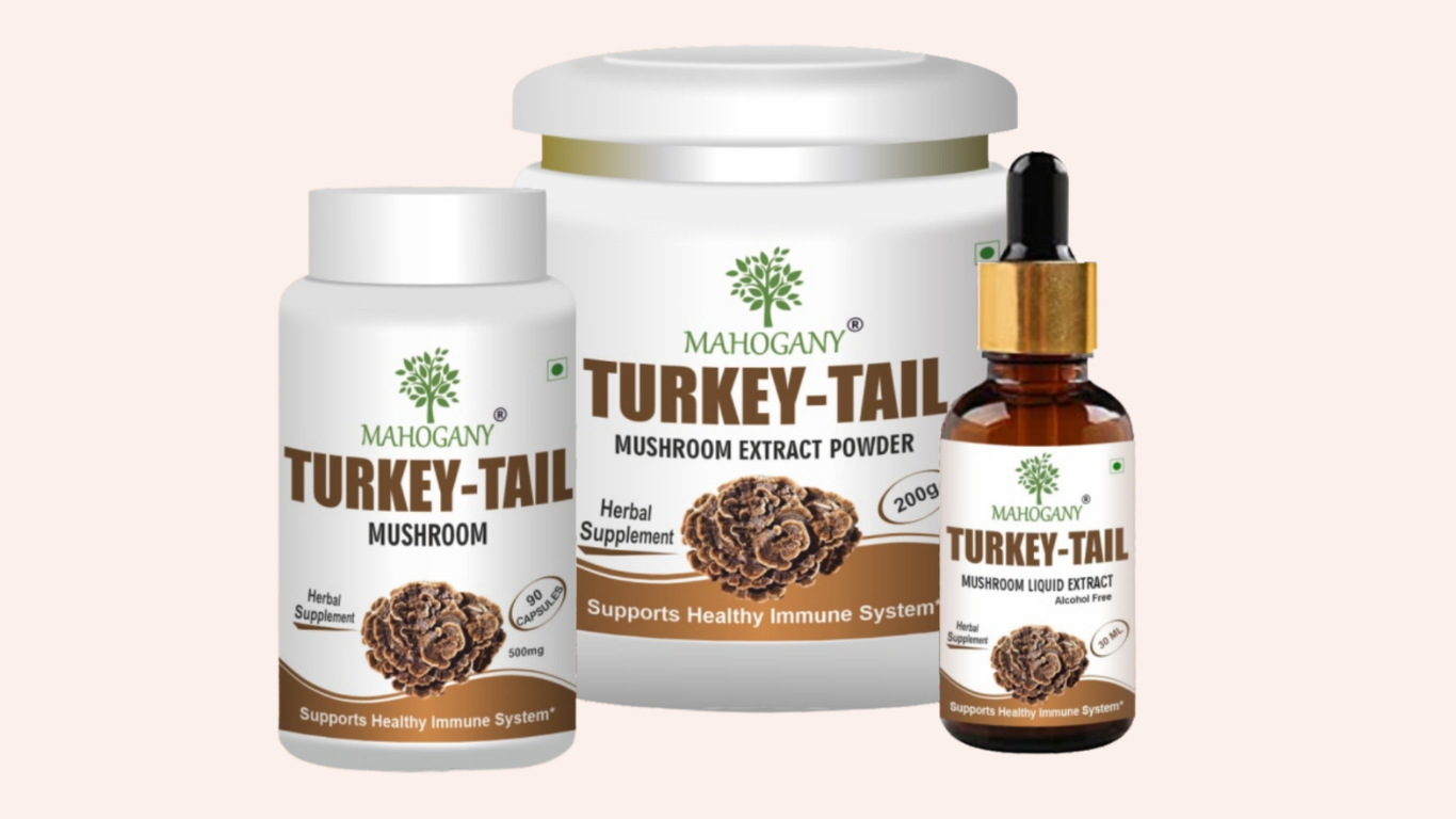 Turkey Tail Mushroom Exporter From India