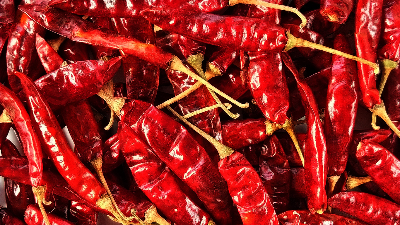 Dry Red Chilli Teja Exporter From India