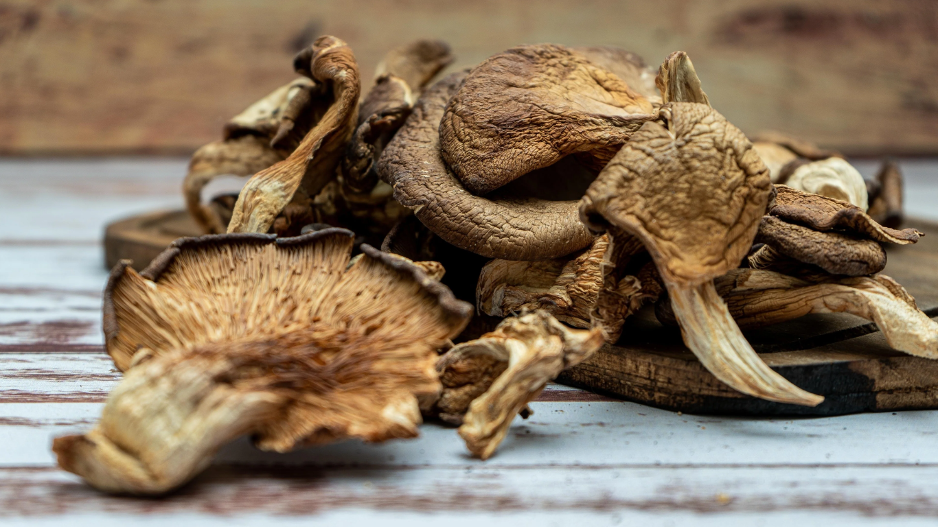 Oyster Dried Mushroom Exporter From India
